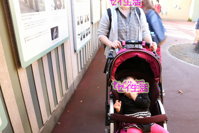 ¾åÌîÆ°Êª±à (3)