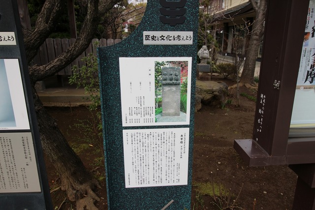 ζ´ã»û (4)