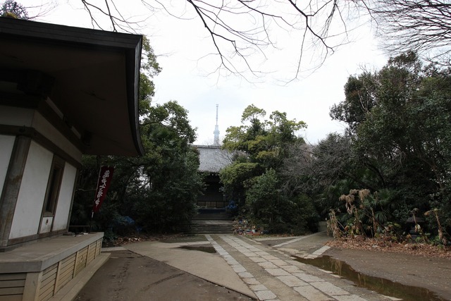 ÉáÌ籡 (7)