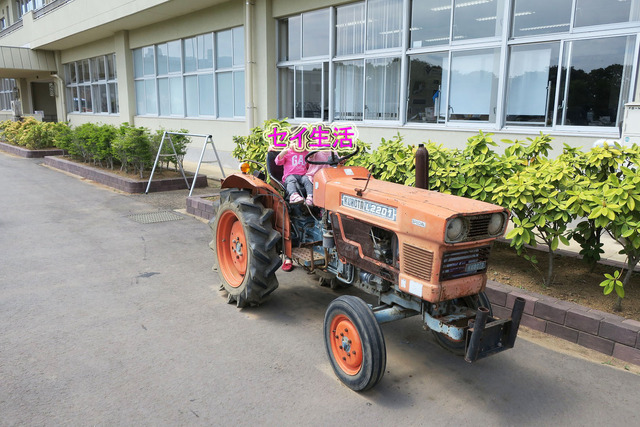 21fc903f.jpg