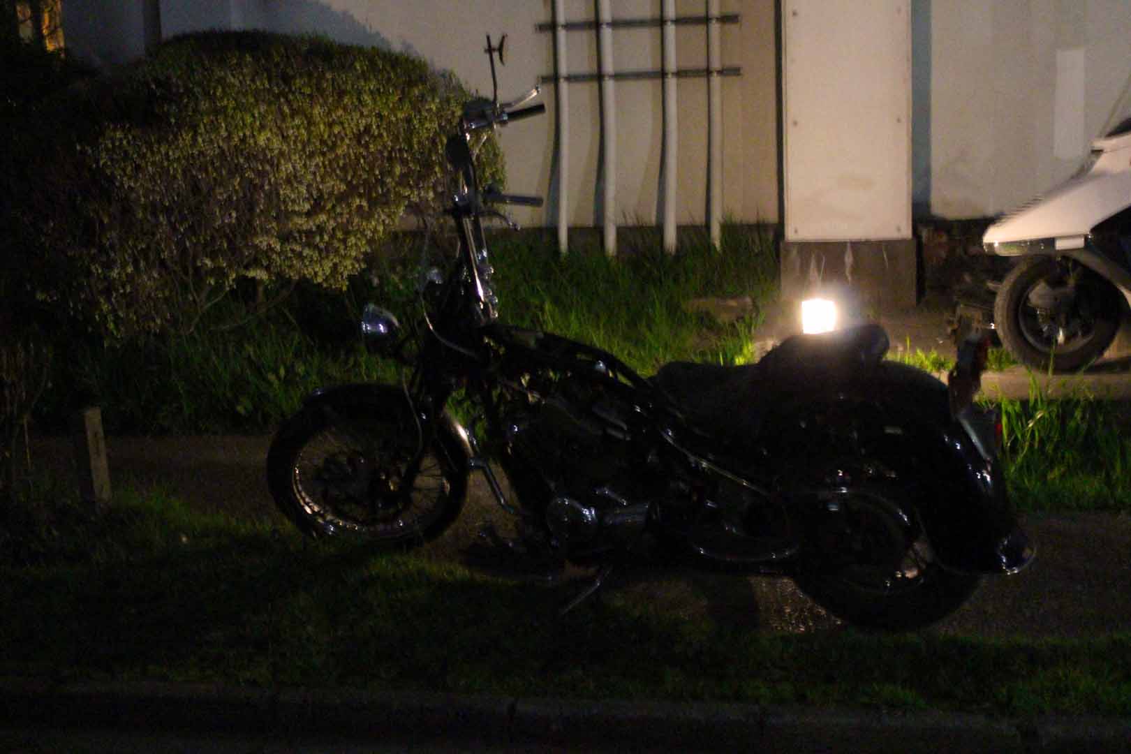 スティードナドナ セイ生活