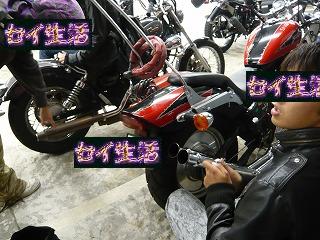 ¥¹¥Æ¥£¡¼¥É£Ö£Ó£Å¥«¥¹¥¿¥àÃæ