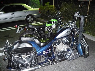 steed1