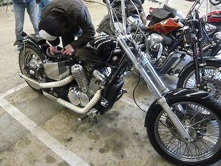 ¹õ¤¤STEED