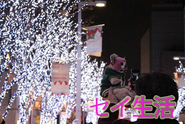Ï»ËÜÌڥҥ륺 (11)