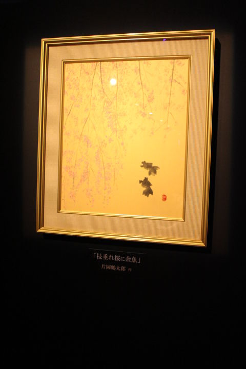¶âµû (17)
