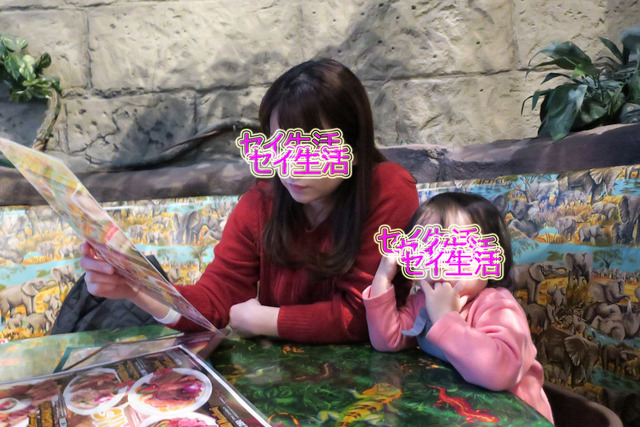 ¥ì¥¤¥ó¥Õ¥§¥ì¥¹¥È¥«¥Õ¥§ (5)