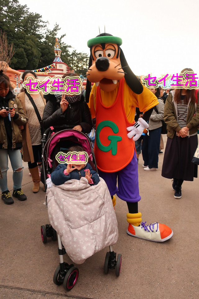 ¥Ç¥£¥º¥Ë¡¼¥é¥ó¥É (9)