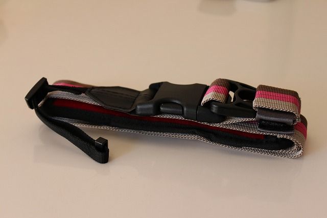 DGS-ICH003PN (4)
