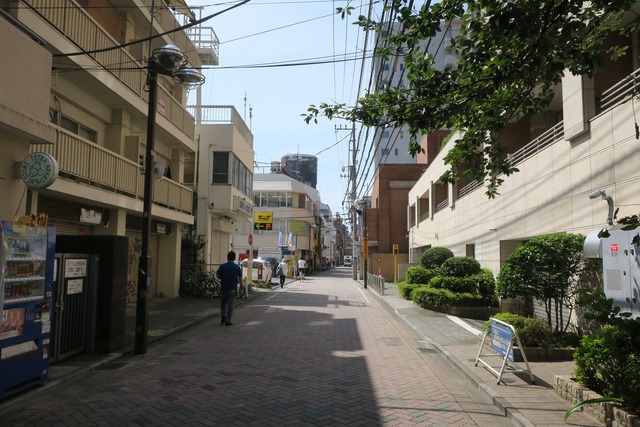 Tombo (4)