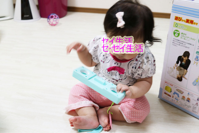 436323aa.jpg