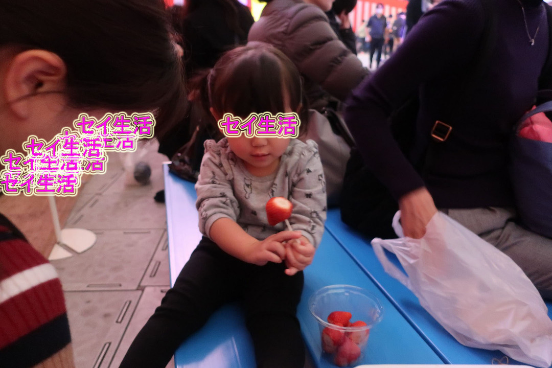 4602c626.jpg