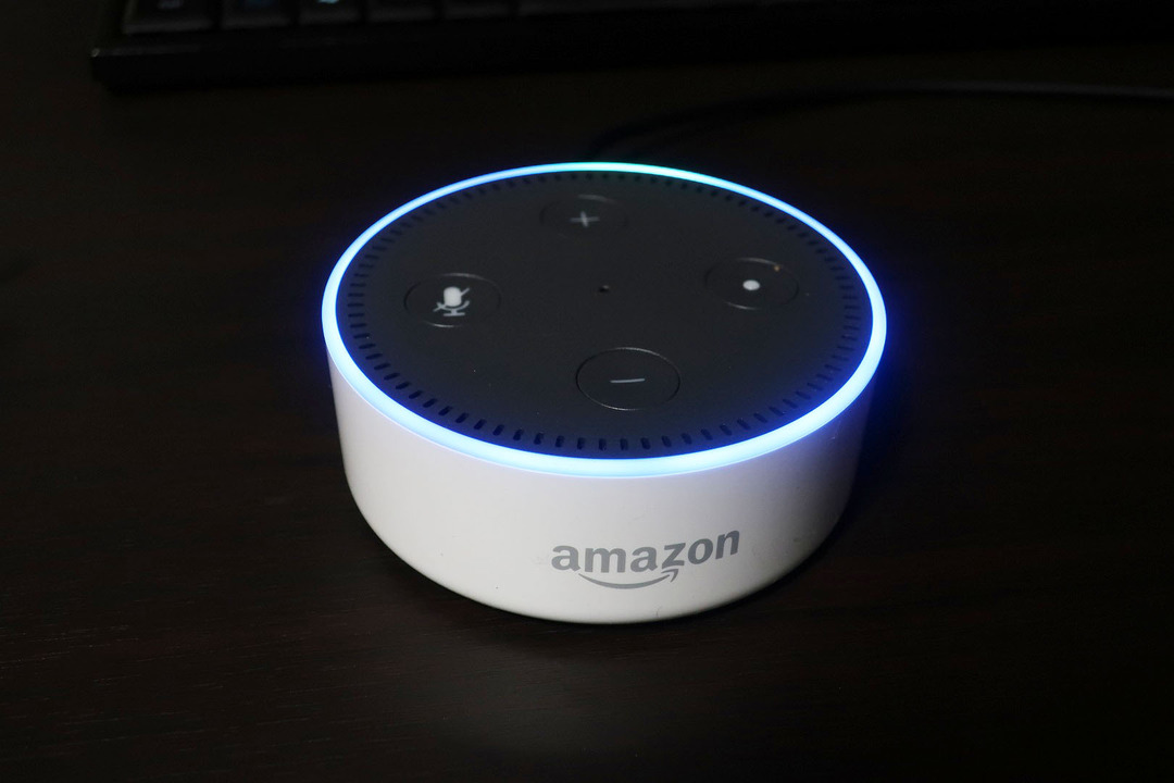 Amazon¥¨¥³¡¼dot (5)