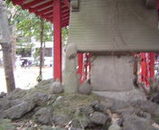 image.jpg