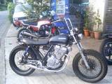 gb250