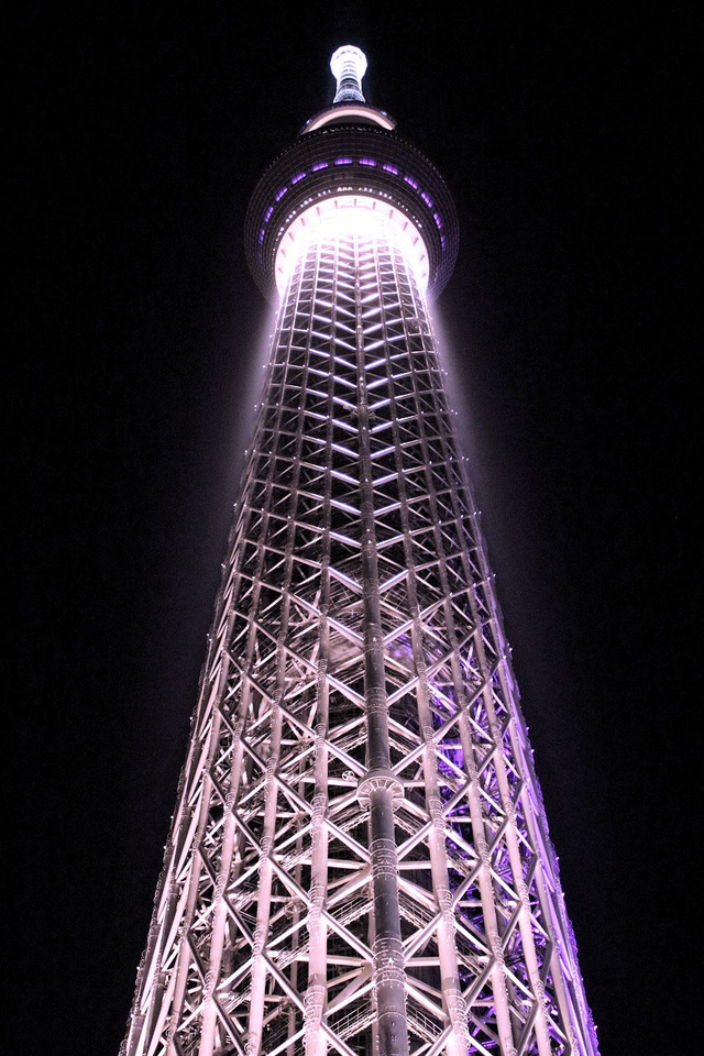 ¥¹¥«¥¤¥Ä¥ê¡¼ (19)