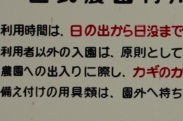 Ȫ (6)