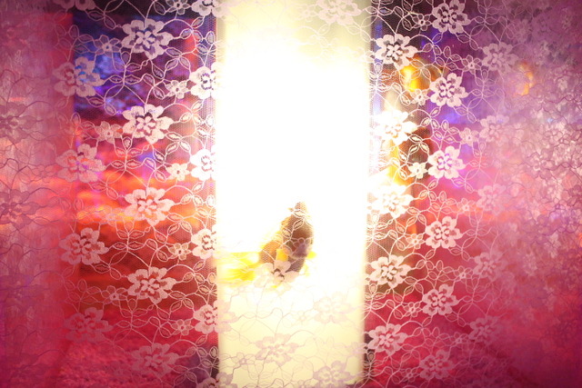 ¶âµû (19)