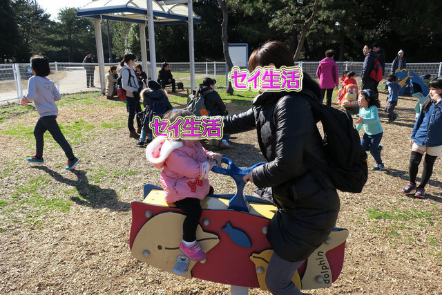 5fe083e1.jpg