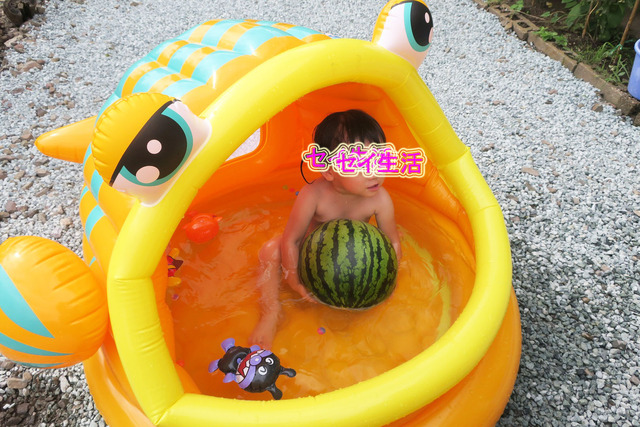 ÀçÂæ¤Øµ¢¾Ê (22)