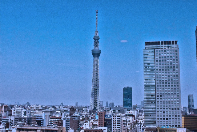 ¥¹¥«¥¤¥Ä¥ê¡¼ (17)