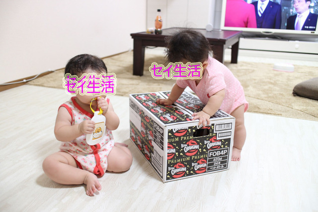 7581e0a9.jpg