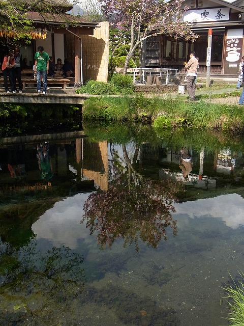 ǦÌîȬ³¤ (10)