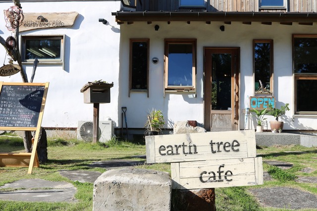 earth tree cafe (10)