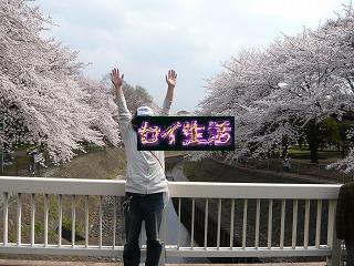 ¥»¥¤¤Èºù