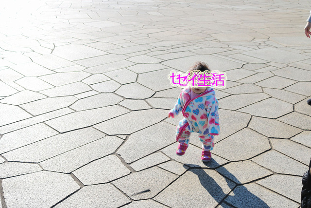 7da76f60.jpg