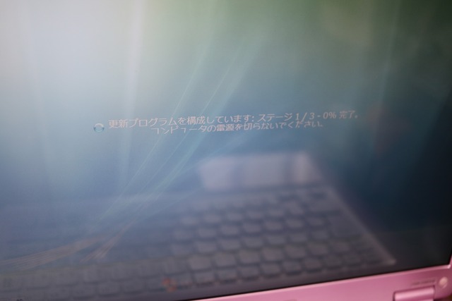 ¥Ô¥ó¥¯¥Ð¥¤¥ª¤òSSD²½ (13)