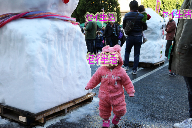 8658edf3.jpg