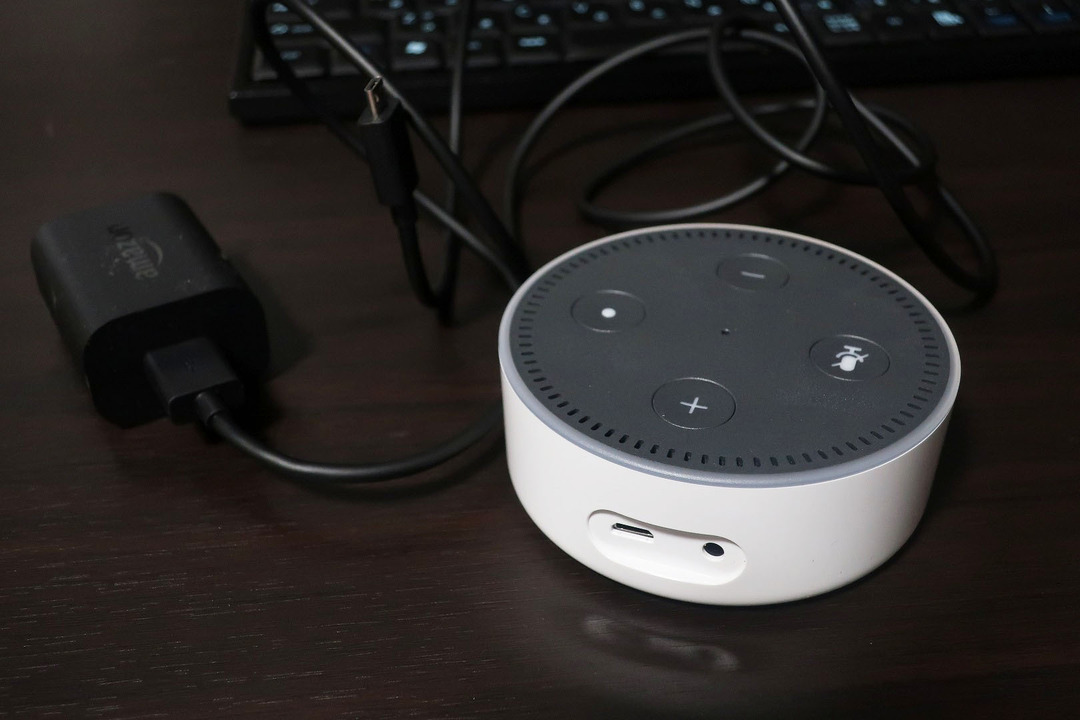 Amazon¥¨¥³¡¼dot (3)