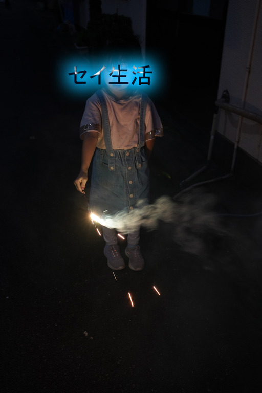 ²Æ¤È¤¤¤Ã¤¿¤é²Ö²Ð (1)