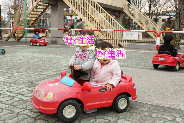 a454c07e.jpg