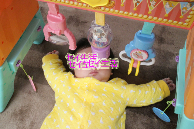 a828435d.jpg