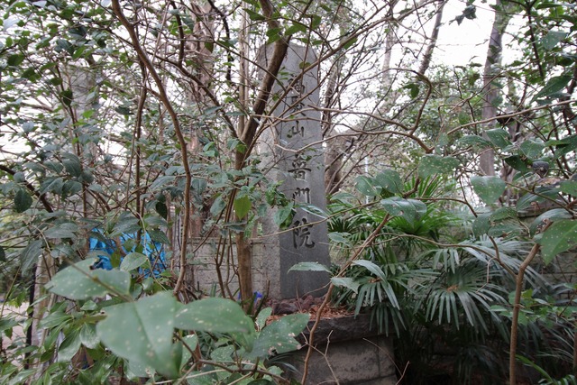 ÉáÌ籡 (3)