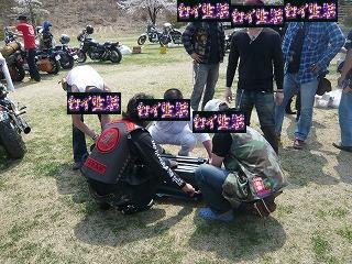 ¥É¥é¥´¥ó¥¦¥§¡¼¥Ö¥Õ¥¡¥¤¥Ê¥ë (13)