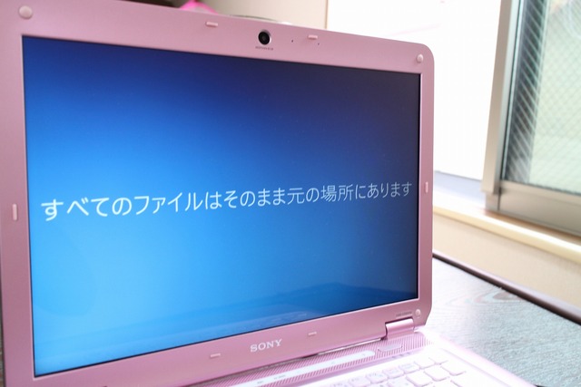 ¥Ô¥ó¥¯¥Ð¥¤¥ª (9)