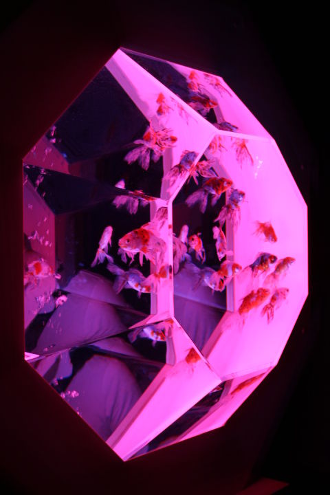 ¶âµû (5)