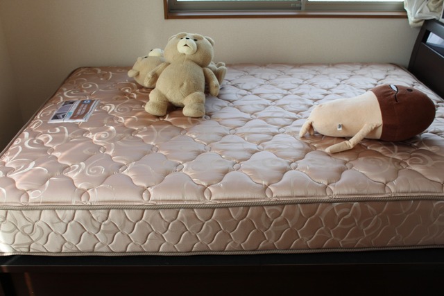 Sealy6902 (6)