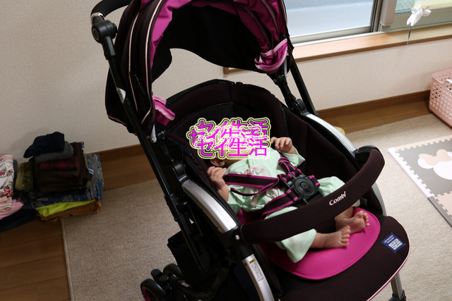 c3836dd3.jpg