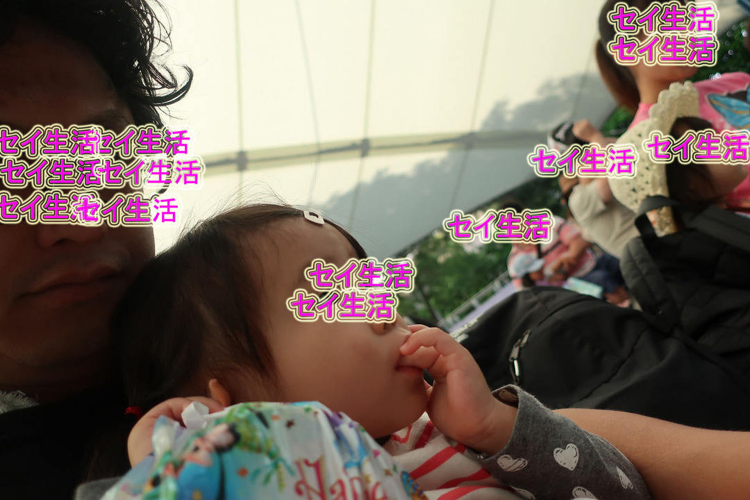 ¥´¡¼¥ë¥Ç¥ó¥¦¥£¡¼¥¯¤Î¥Ç¥£¥º¥Ë¡¼¥é¥ó¥É (3)