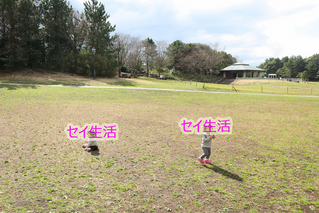 cb6c33a5.jpg