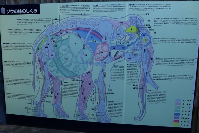 ccbc2606.jpg