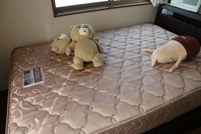 Sealy6902 (5)