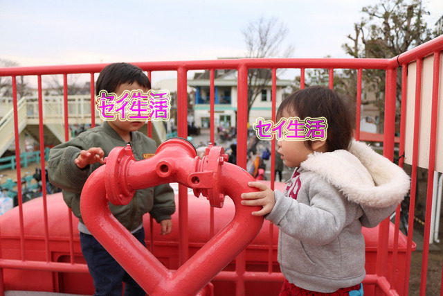 d43c9579.jpg