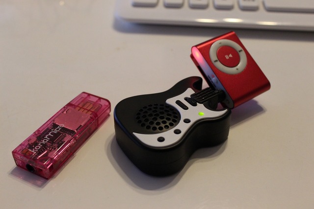 ¥¯¥ê¥Ã¥×MP3¥×¥ì¡¼¥ä¡¼ (5)