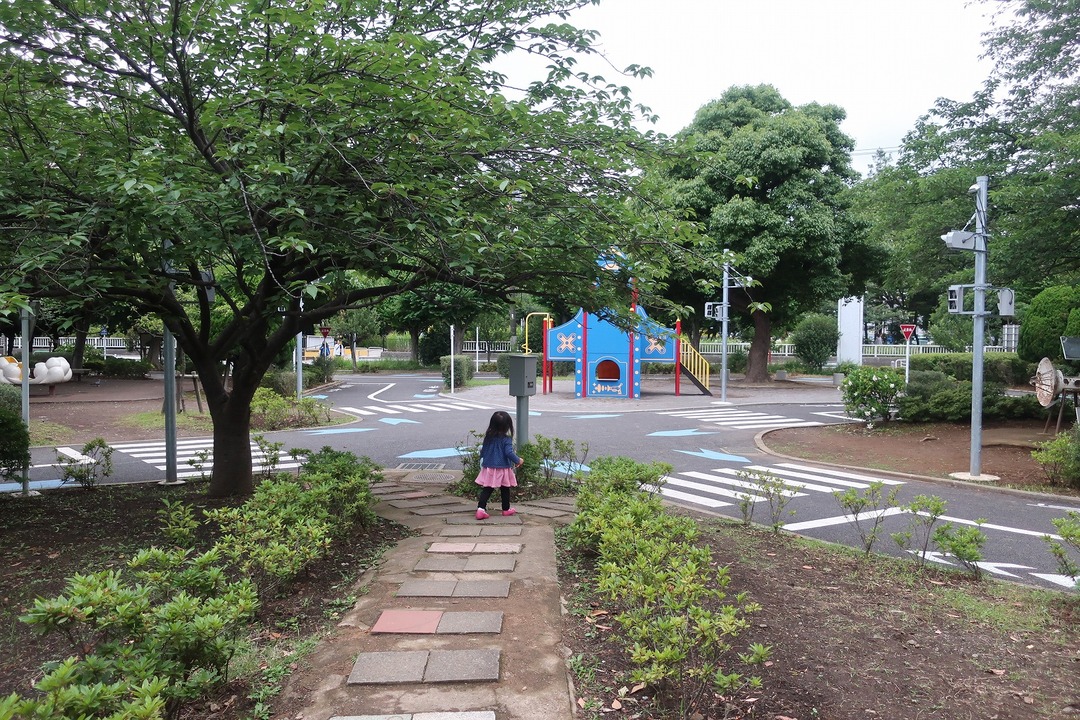 d6f88014.jpg