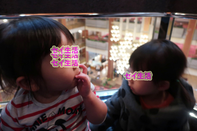 µ´ÅÜÀî²¹Àô¤¢¤µ¤ä (15)